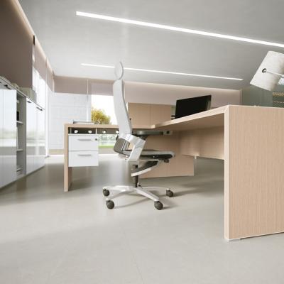 Arredo Ufficio Direzionale 201
