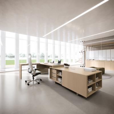 Arredo Ufficio Direzionale 203